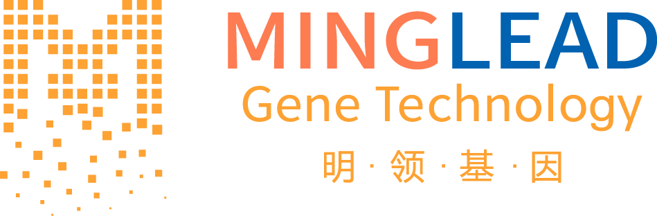 明领基因
